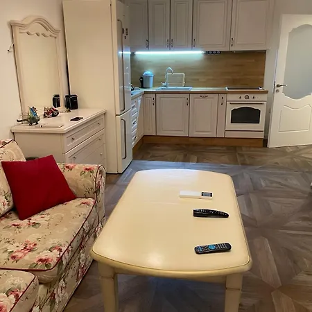 Апартамент Чайка Apartment *